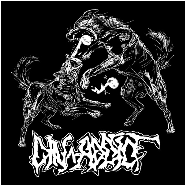 !! Click on the image !! - Video